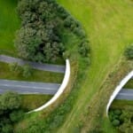 4 bekendste Nederlandse bossen en natuurgebieden