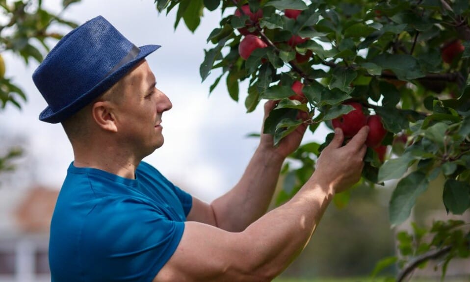 8 tips bij het plukken in boerderijtuinen en pluktuinen