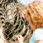 Beleef de wonderen van de natuur in Burgers' Zoo