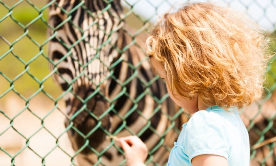 Beleef de wonderen van de natuur in Burgers' Zoo