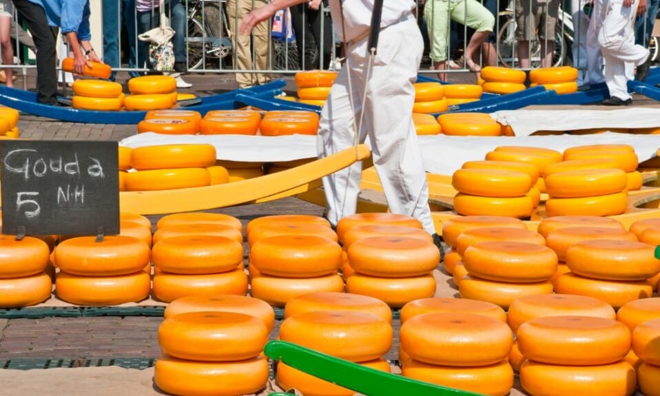 Culinaire verwennerij: Ontdek de smaken van culinair Noord-Holland