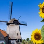Culturele schatkamer: Kunst en cultuur in Noord-Holland
