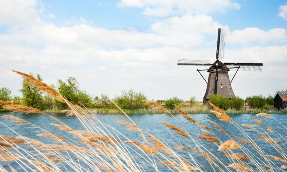 Dagtrips Noord-Holland: wat leuks doen in de omgeving