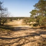 De meesterwerken van het Kröller-Müller Museum in het hart van de Hoge Veluwe