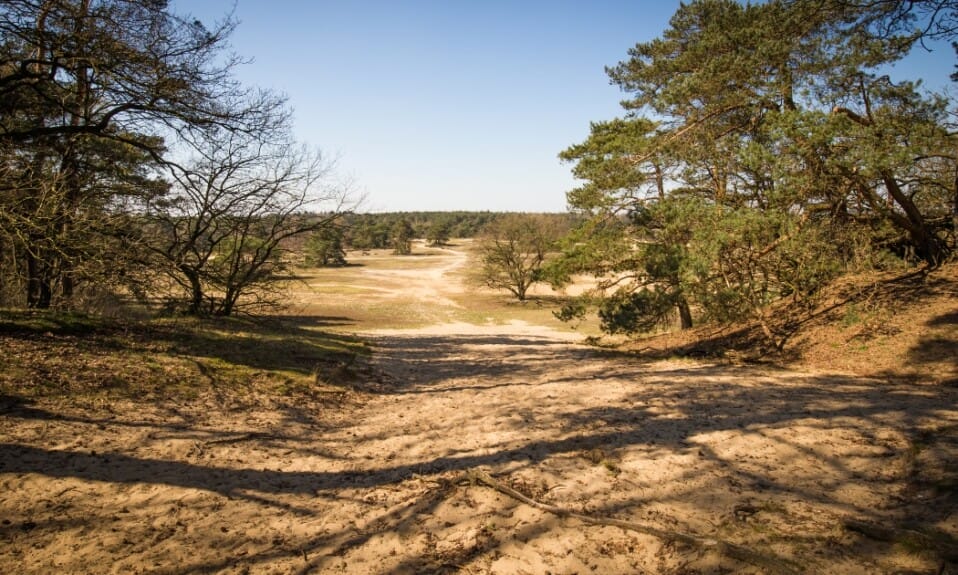 De meesterwerken van het Kröller-Müller Museum in het hart van de Hoge Veluwe