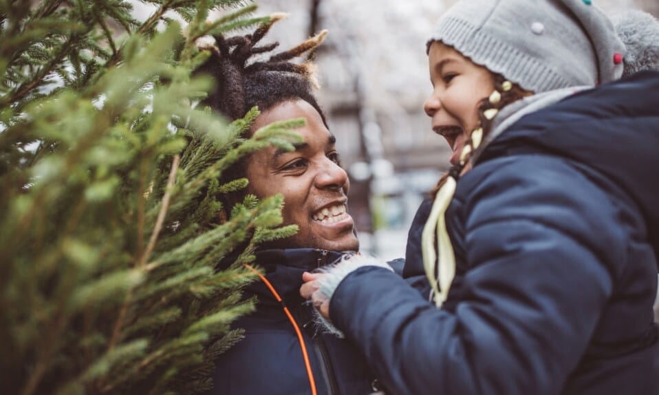 De perfecte kerstboom vinden in Den Haag