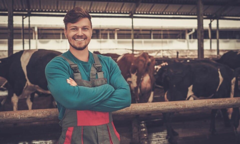 Eten Overijssel: Ontdek de hoogtepunten in de provincie