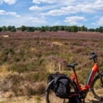 Fietsen door de prachtige natuur van de Hoge Veluwe