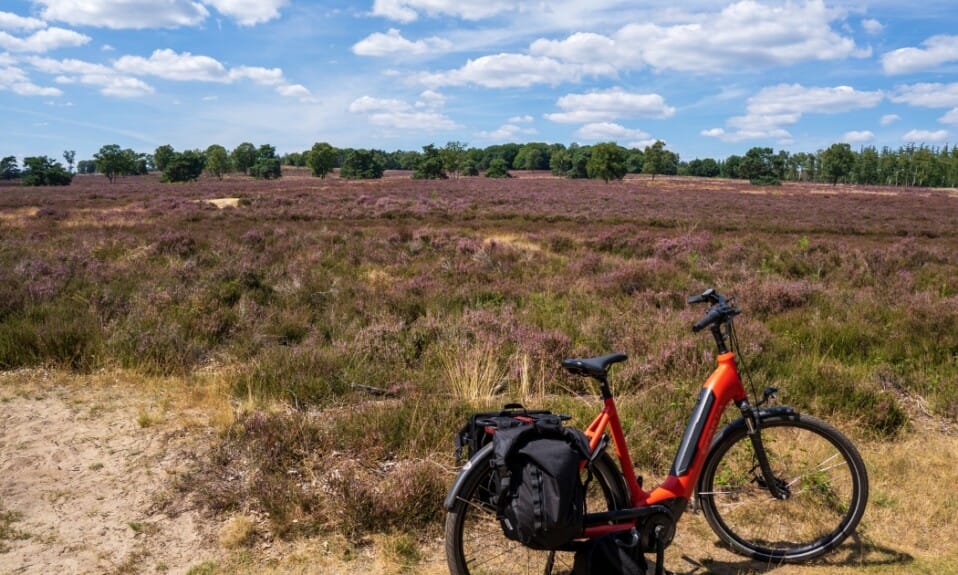 Fietsen door de prachtige natuur van de Hoge Veluwe