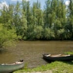 Kanoën door het waterlabyrint van de Dordtse Biesbosch