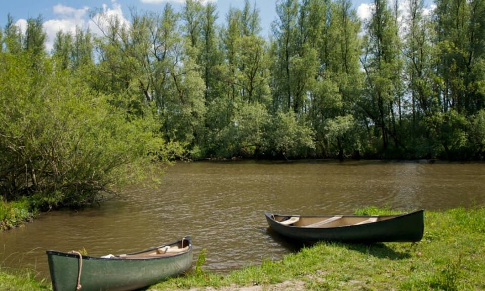 Kanoën door het waterlabyrint van de Dordtse Biesbosch