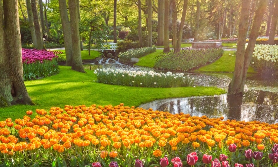 Keukenhof: Meer dan alleen bloemen