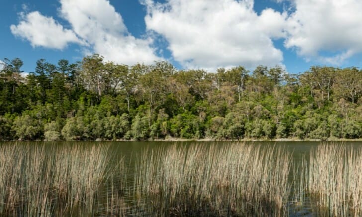 Fraser Island: 9 Dingen Die Je Nog Niet Wist