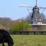 Kunst en cultuur in Noord-Brabant: Ontdek hier 8 locaties