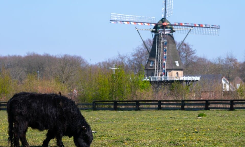 Kunst en cultuur in Noord-Brabant: Ontdek hier 8 locaties