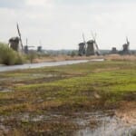 Mysterieus moeras: Verkenning van Nederlandse Wetlands