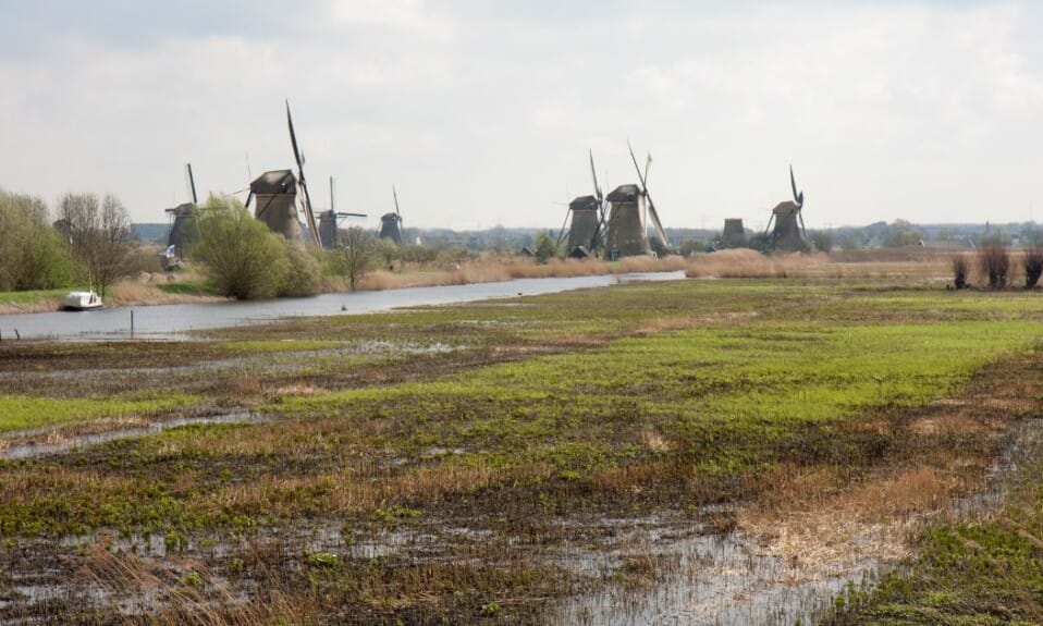 Mysterieus moeras: Verkenning van Nederlandse Wetlands