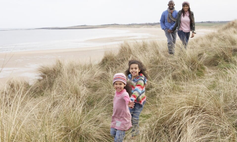 Natuur in detail: Heemskerkse Duinen onder de loep