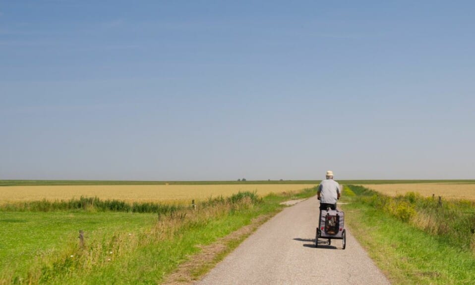 Natuurlijk avontuur: Verken Friesland per fiets of te voet