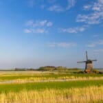 Natuurlijke pracht: Ontdek de parken van Noord-Holland