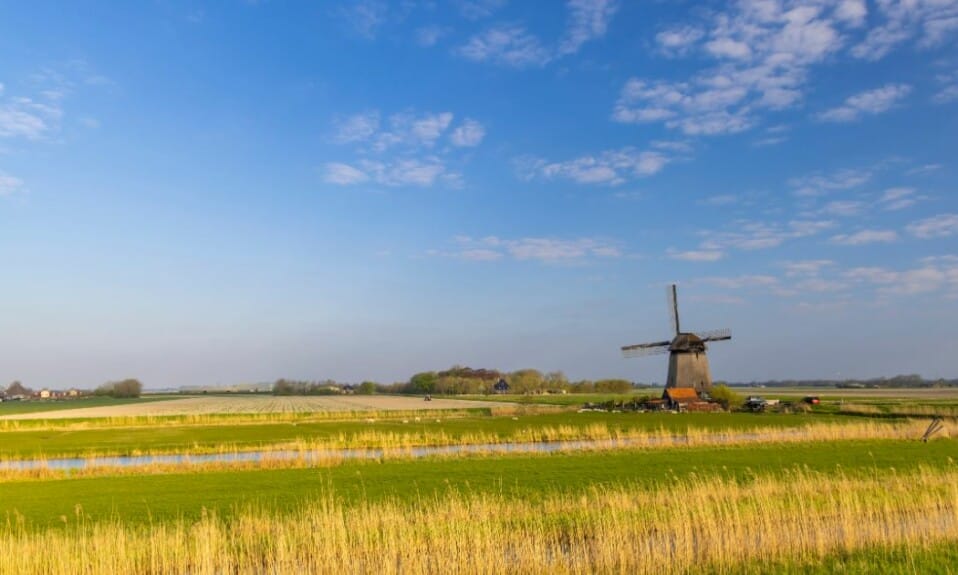 Natuurlijke pracht: Ontdek de parken van Noord-Holland