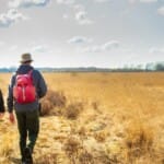 Natuurwonderen: Verbluffende natuurgebieden in Nederland