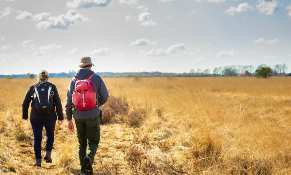 Natuurwonderen: Verbluffende natuurgebieden in Nederland