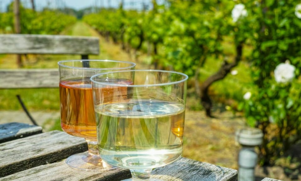 Ontdek hier typisch Noord-Brabants eten en drinken