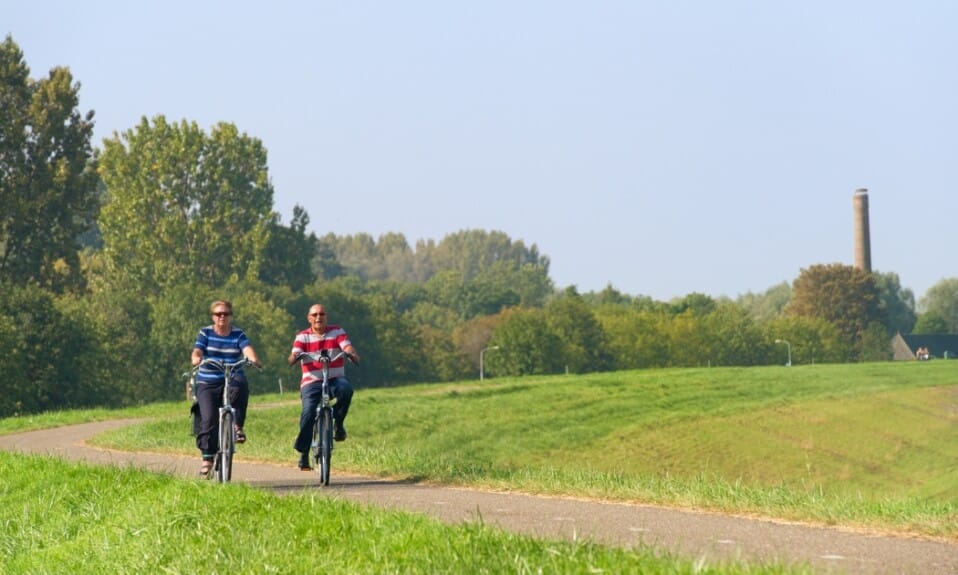 Op de fiets door een zee van bloemen: ontdek de Bollenstreek