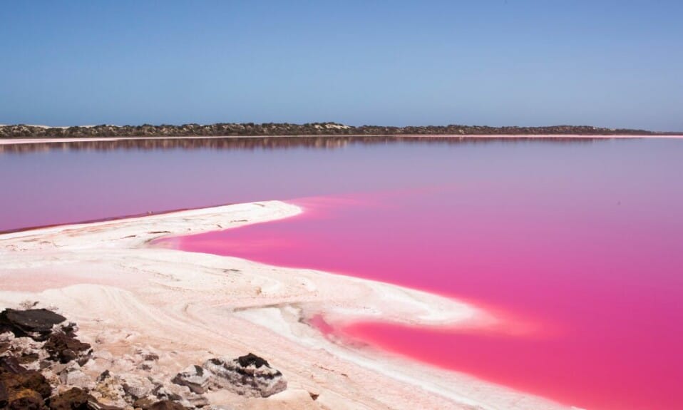 Roze meer Australië: alles over dit natuurfenomeen