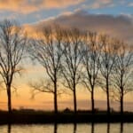 Stromend door Nederland: Een reis langs rivieren en waterwegen