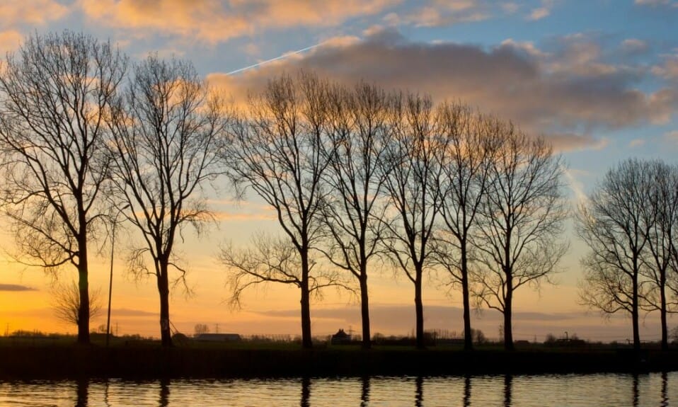 Stromend door Nederland: Een reis langs rivieren en waterwegen