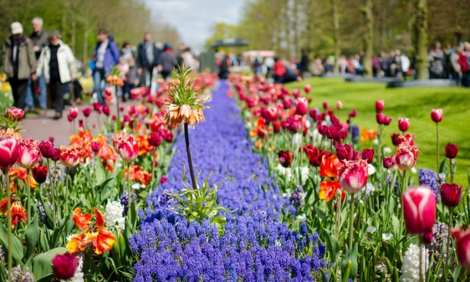 Keukenhof: Je eigen private tuinparadijs