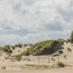 Tussen zand en zee: Het prachtige duinlandschap van Nederland