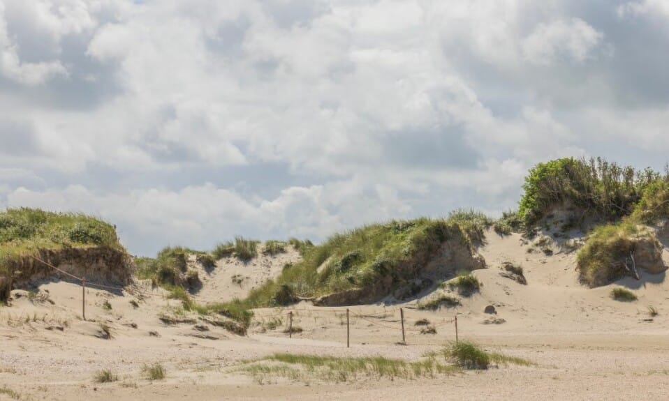 Tussen zand en zee: Het prachtige duinlandschap van Nederland