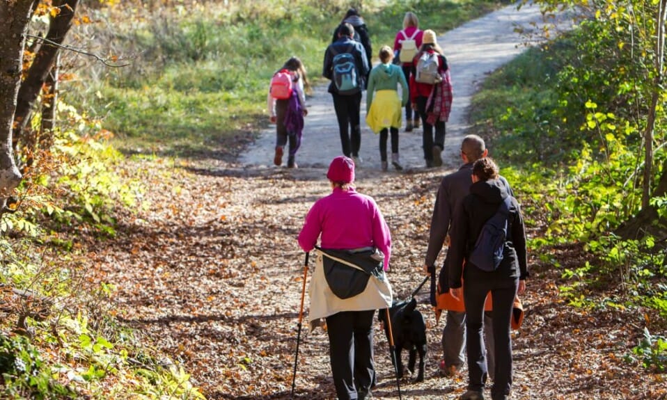 Verken deze 9 avontuurlijke wandelpaden in Nederland