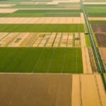 Wanneer bloeit Noord-Holland: het seizoen van kleur